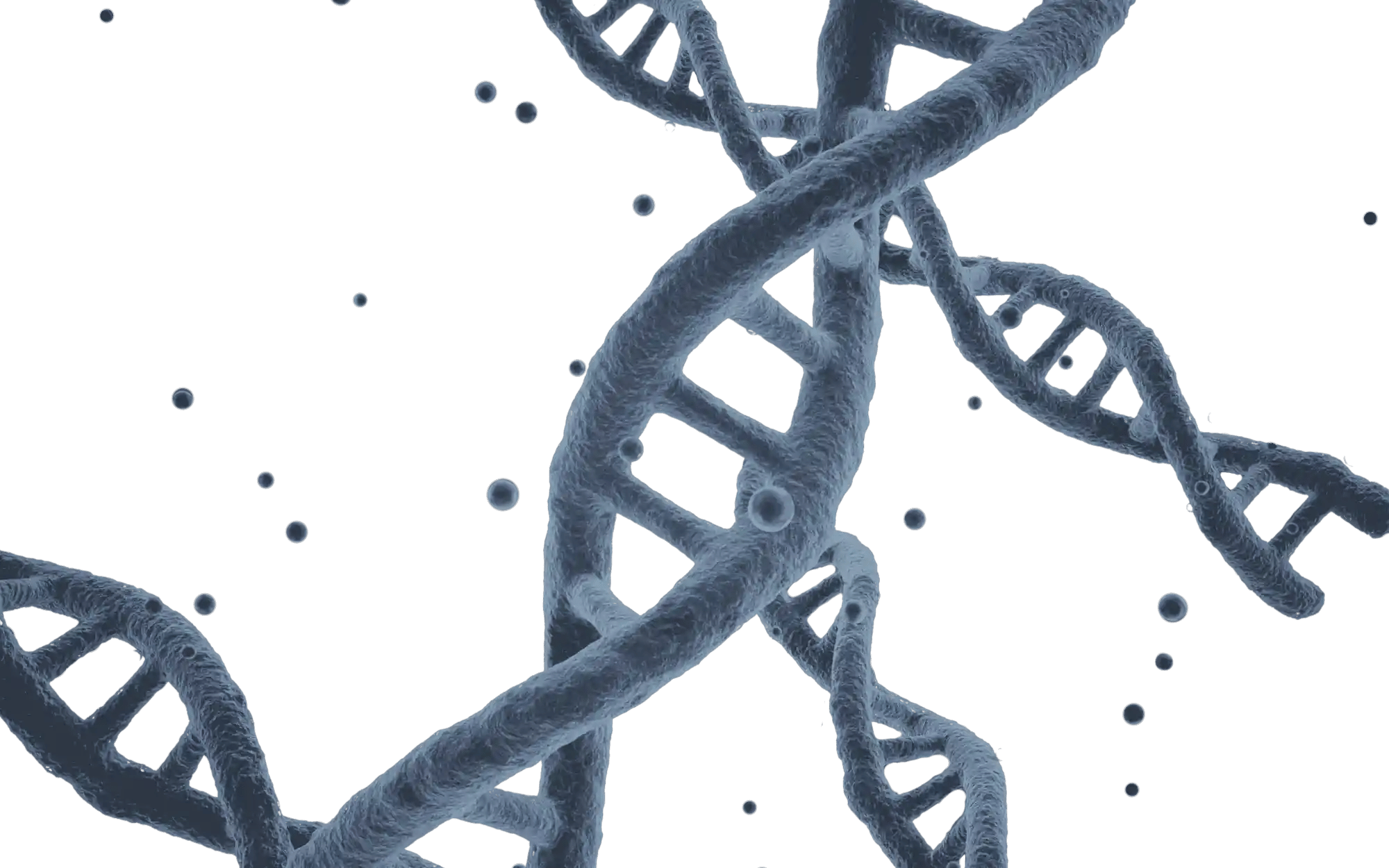 DNA strand overlay